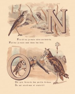 N O: Ruiseñor, nupcial, búho, ortografía de French School