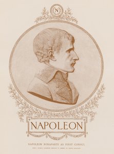 Napoleón Bonaparte como Primer Cónsul de French School