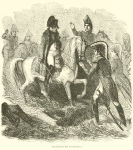 Napoleón en Waterloo de French School