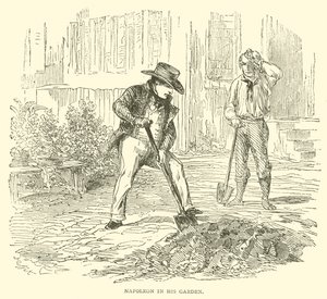 Napoleón en su jardín de French School