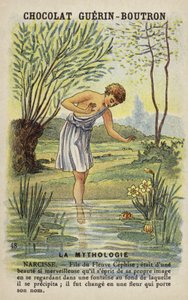 Narciso de French School