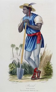 Negro plantador de Brasil - en "Biblioteca Universal de Viajes" por Albert-Montémont, ed. Armand-Aubrée, París de French School