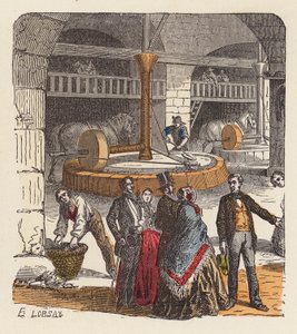 Producción de aceite de oliva (grabado en color) de French School
