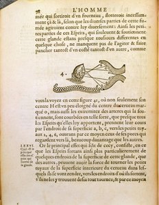 Diagrama óptico, de De Homine Figuris por René Descartes, publicado en La Haya, 1662