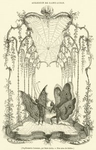 Papillonneries humaiaes