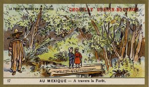 Pasando por un bosque, México de French School