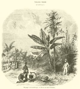 Paisaje en Guadalupe