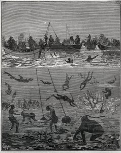 Pescadores de perlas en Ceilán (actual Sri Lanka) en el siglo XIX. Grabado de 1885 en “Les arts et métiers illustrés” por Adolphe BITARD.