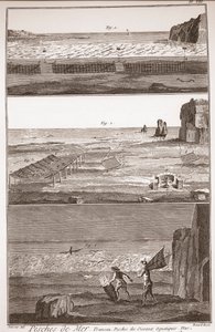 Pesca de mar - Trameau - Pesca de aves acuáticas - “The Great Encyclopedie, ou Dictionnaire Raisonné des Sciences, des Arts et des Métiers” (Enciclopedia o Diccionario de las Ciencias, Artes y Profesiones) por Denis Diderot (1713-1784) y Jean d