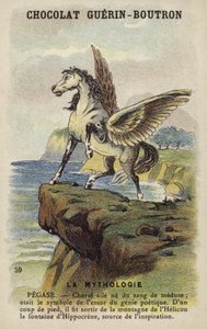 Pegaso de French School