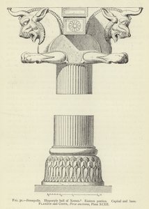 Persépolis, Sala hipóstila de Jerjes, Pórtico oriental, Capital y base de French School