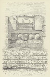 Persépolis, Tumba en el noreste, Elevación