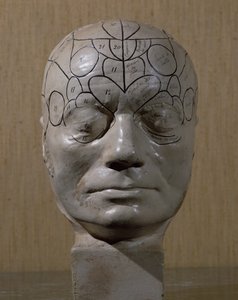 Cabeza frenológica por Jean Martin Charcot (cerámica) de French School