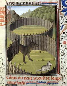 Trampa para lobos - en "Libro de Caza de Gaston Phoebus, Conde de Foix, Señor de Béarn"
