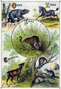 Placa 2: Oso, Cebra, Tigre, Ciervo, Castores. Grabado en "Silabario alfabético de animales salvajes". Serie A. Pellerin et Cie, impresores-editores, Epinal, finales del siglo XIX. Cromolitografías. Pequeño álbum publicitario de 8 páginas que contiene un si de French School