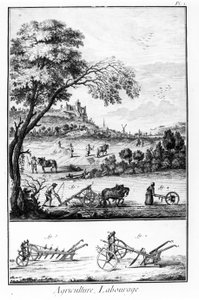 Placa de la Enciclopedia de Diderot y Alembert: Agricultura y arado. Siglo XVIII de French School
