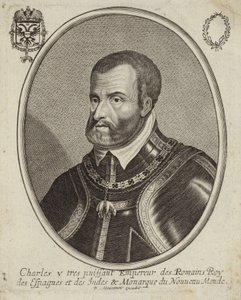 Retrato de Carlos V, Emperador del Sacro Imperio Romano de French School