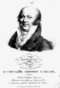 Retrato de Etienne Geoffroy Saint-Hilaire (1722-1844) de French School