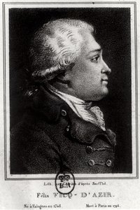 Retrato de Félix Vicq d