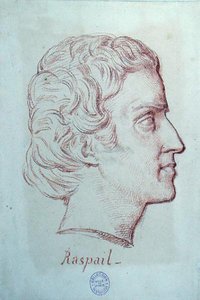 Retrato de François Vincent Raspail (1794-1878) de French School