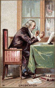 Retrato de Louis Jean Marie Daubenton (1716 - 1800), naturalista francés. de French School