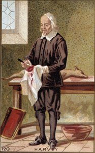 Retrato de William Harvey (1578-1657), médico inglés. de French School