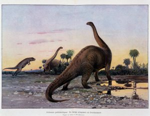 Animales prehistóricos: un laelaps atacando a un brontosaurio - en “El Universo y la Humanidad”
