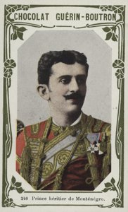 Príncipe heredero de Montenegro de French School
