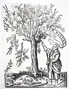 Emblema de impresores de Robert Estienne, París, 1526 de French School