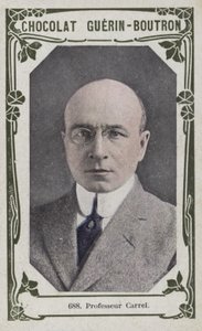 Profesor Carrel de French School