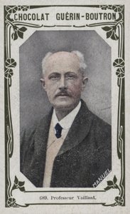 Profesor Vaillant de French School