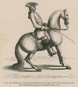 Deteniendo un caballo con brida (del Manege moderne dans sa perfection, por Baron d