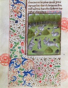 Conejera, del Livre de la Chasse de Gaston Phebus de Foix (1331-91) de French School