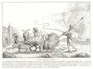 Animales Raros de French School