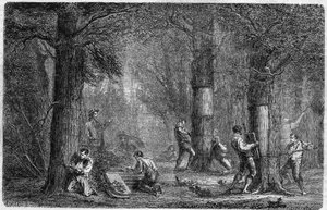 Recolección de la corteza del alcornoque. Grabado en "Histoire des plantes" por Louis Figuier publicado en "Le Monde Illustré" n°399 del 3 de diciembre de 1864 de French School