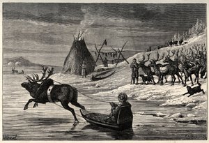 Manada de renos en Laponia - grabado de "El hombre y la bestia" de Arthur Mangin - 1872 - de French School