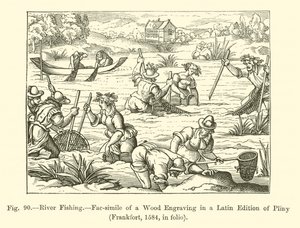 Pesca en el Río