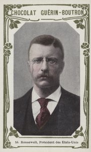 Roosevelt, Presidente de los Estados Unidos
