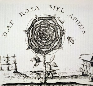 Alegoría Rosacruz, copia de un grabado de Johann Theodore de Bry (c.1598), usada en una Historia de la Magia, publicada a finales del siglo XIX de French School
