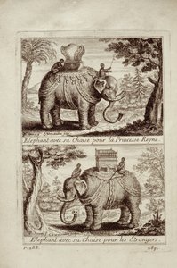 Elefantes reales, de Voyage du Siam des Peres Jesuites por Guy Tachard, 1688 de French School