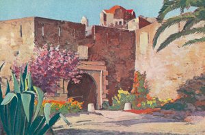 Saint Tropez: La ciudadela (litografía en color) de French School