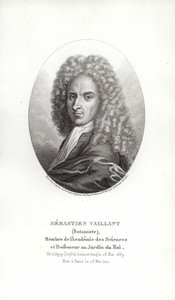 Sébastien Vaillant de French School