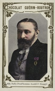 Sully-Prudhomme, Academia Francesa de French School