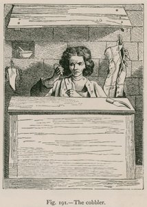 El Zapatero de French School