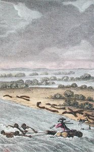 El Río del Elefante, Sudáfrica, grabado por Coiny de French School