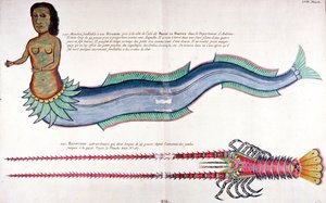 La sirena de Amboyna, de 