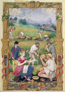 El mes de agosto: La cosecha de French School