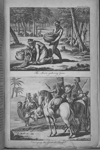 Los moros recolectando gomas y transportándolas a Senegal, ilustración de 