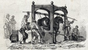 La Escuela Nacional de Veterinaria de Alfort - Las grandes escuelas de Francia - escuela veterinaria de Maison Alfort en 1866 - el herrado de caballos rebeldes - Grabado en “Le Monde Illustré” de 1866 de French School