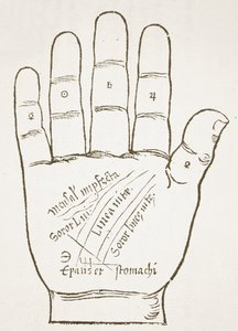 La mano derecha, líneas principales, copia de una ilustración de Chiromantia por Ioannes ab Indagine, 1531, usado en una Historia de la Magia, publicado a finales del siglo XIX